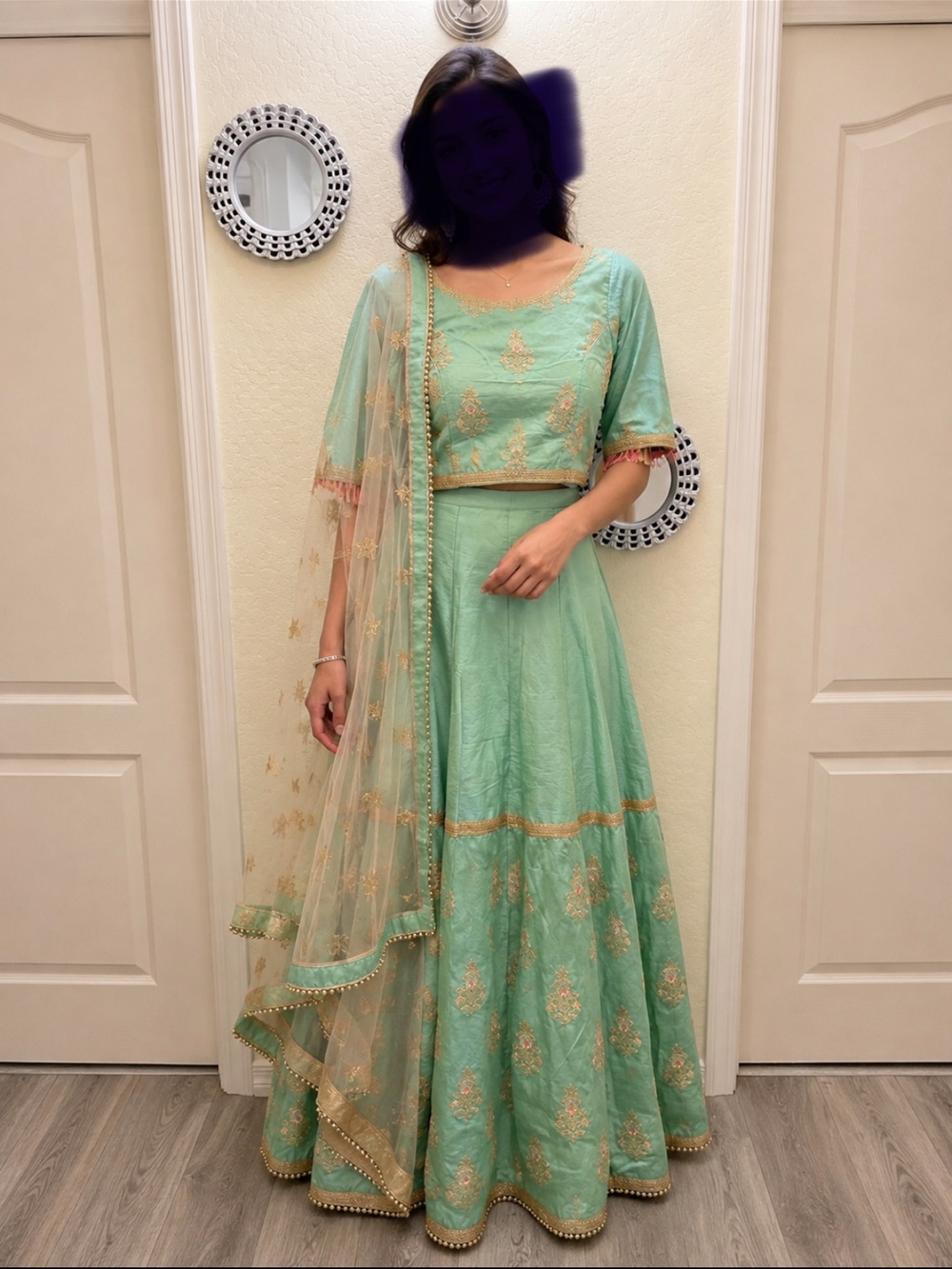 Mint Green Embroidered Lehenga Choli with Pink Accent